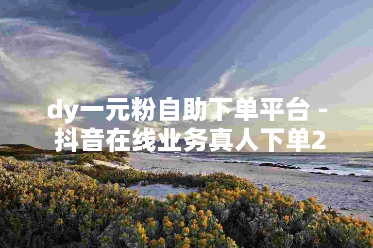 dy一元粉自助下单平台 - 抖音在线业务真人下单24小时，专业可靠。