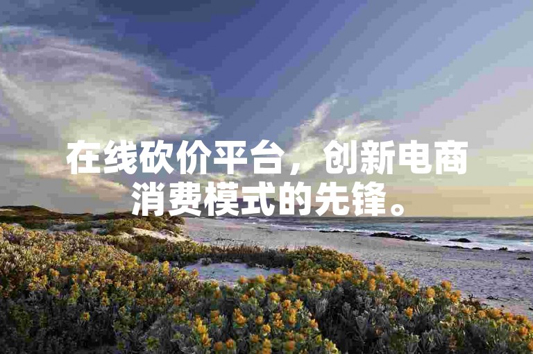 在线砍价平台，创新电商消费模式的先锋。
