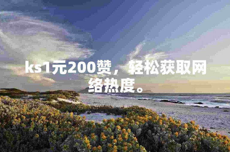 ks1元200赞，轻松获取网络热度。