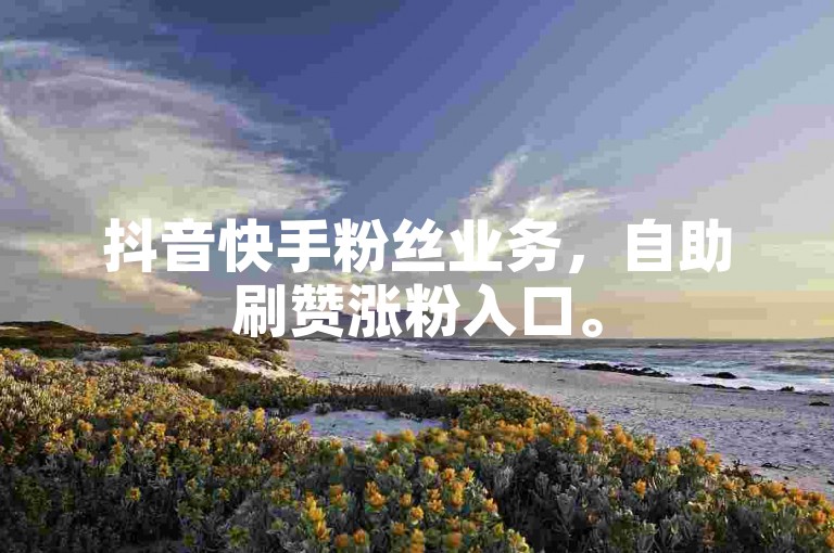 抖音快手粉丝业务，自助刷赞涨粉入口。