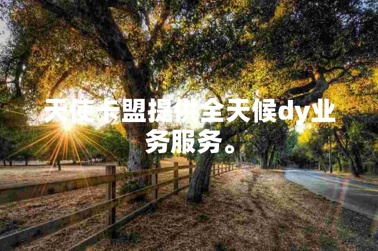 天使卡盟提供全天候dy业务服务。