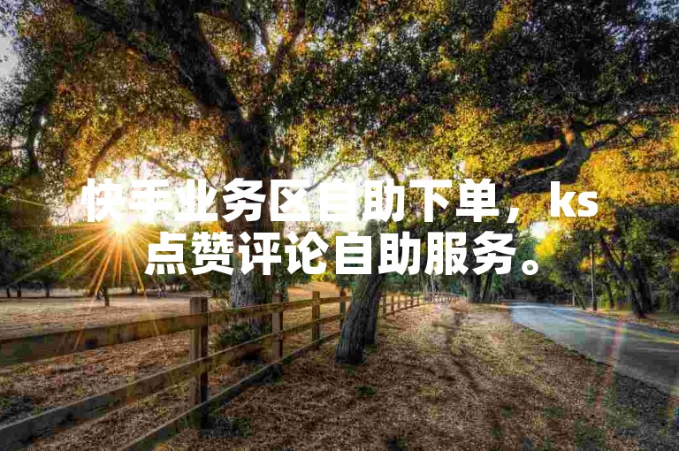 快手业务区自助下单，ks点赞评论自助服务。