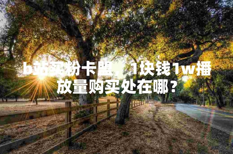 b站买粉卡盟，1块钱1w播放量购买处在哪？
