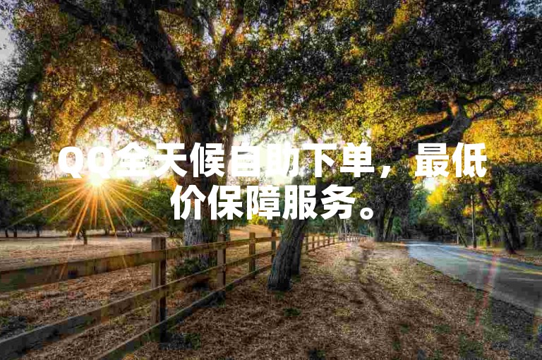 QQ全天候自助下单，最低价保障服务。