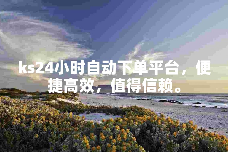 ks24小时自动下单平台，便捷高效，值得信赖。