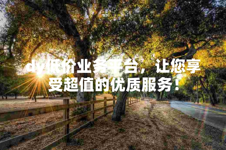 dy低价业务平台，让您享受超值的优质服务！