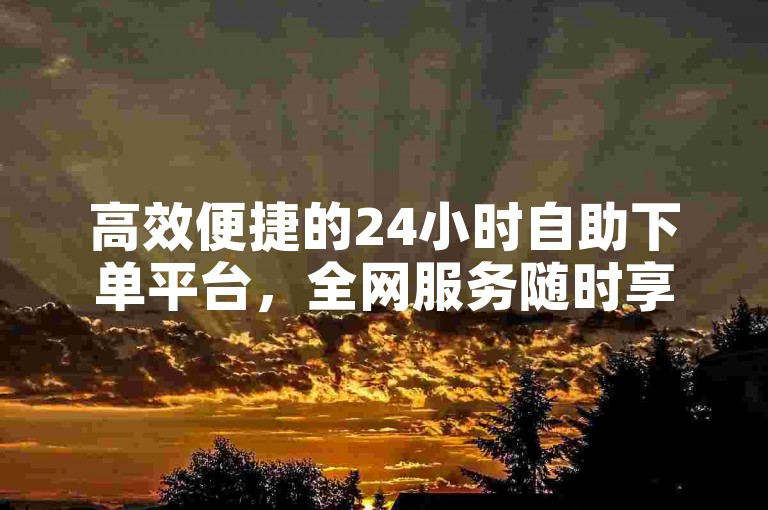 高效便捷的24小时自助下单平台，全网服务随时享。