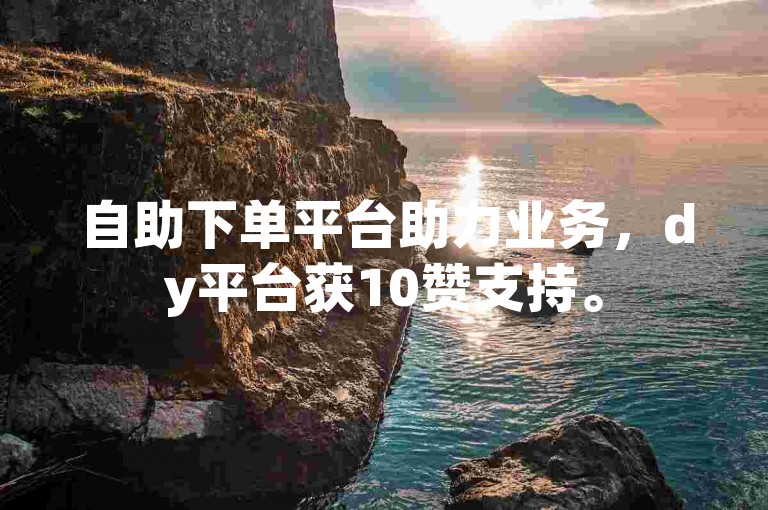 自助下单平台助力业务，dy平台获10赞支持。