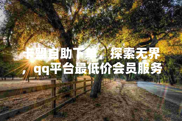 卡盟自助下单，探索无界，qq平台最低价会员服务。