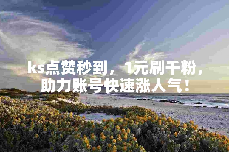 ks点赞秒到，1元刷千粉，助力账号快速涨人气！