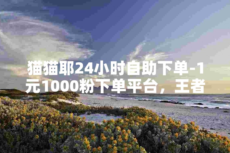 猫猫耶24小时自助下单-1元1000粉下单平台，王者黑号。