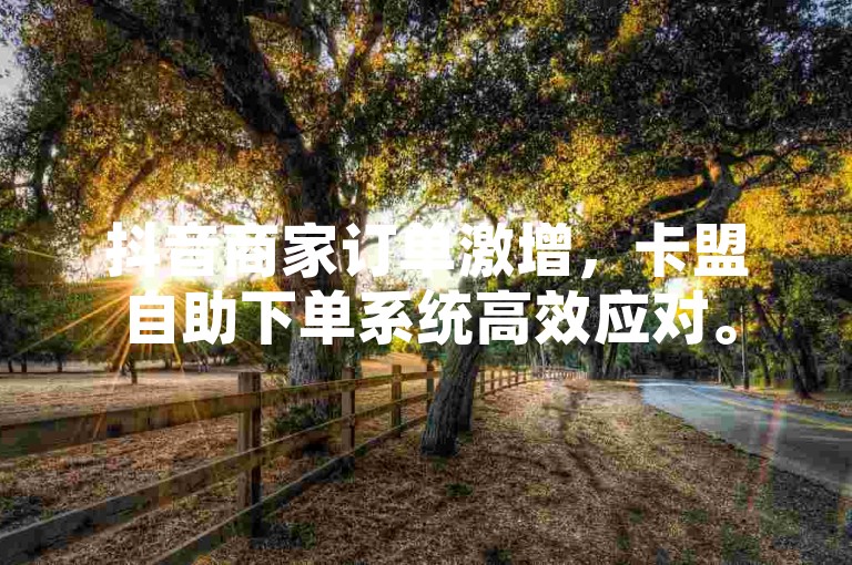 抖音商家订单激增，卡盟自助下单系统高效应对。