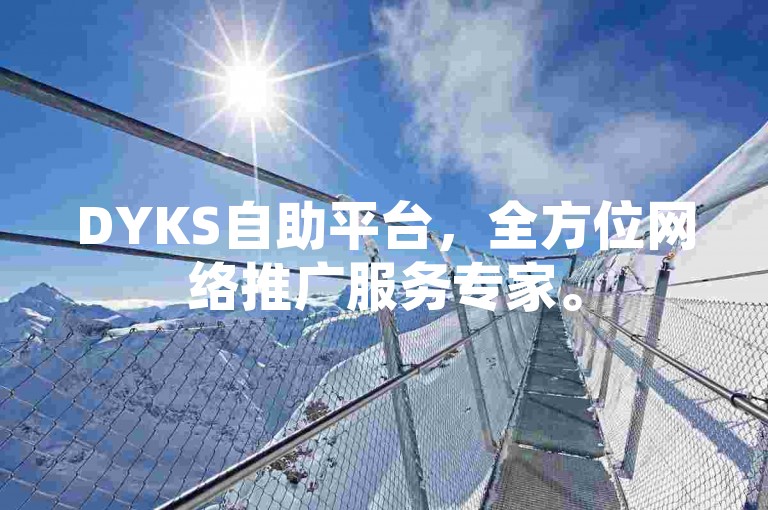 DYKS自助平台，全方位网络推广服务专家。