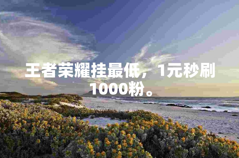 王者荣耀挂最低，1元秒刷1000粉。