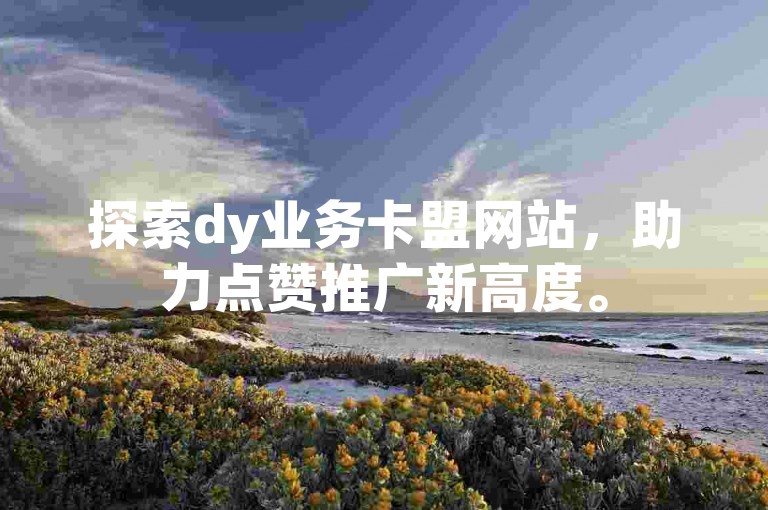 探索dy业务卡盟网站，助力点赞推广新高度。