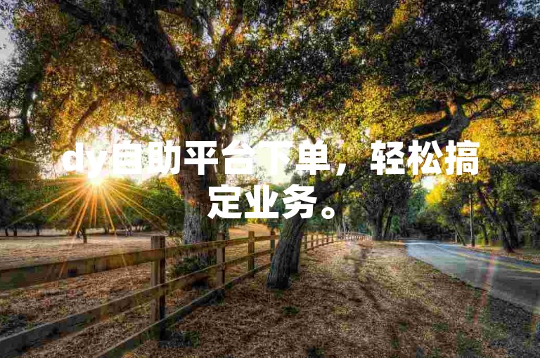 dy自助平台下单，轻松搞定业务。