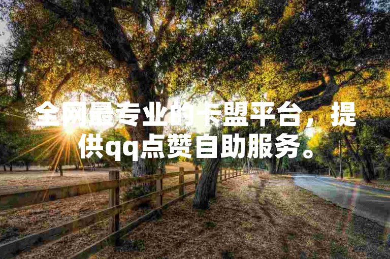 全网最专业的卡盟平台，提供qq点赞自助服务。