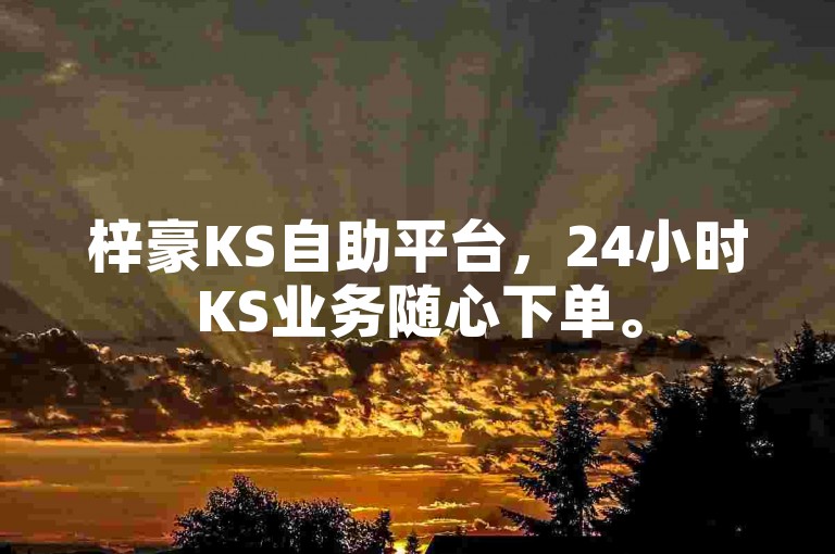 梓豪KS自助平台，24小时KS业务随心下单。