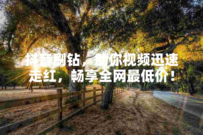 抖音刷钻，助你视频迅速走红，畅享全网最低价！