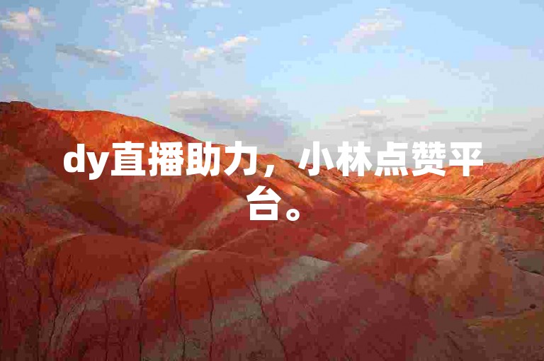 dy直播助力，小林点赞平台。