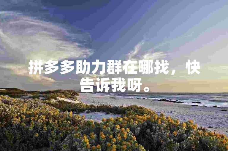 拼多多助力群在哪找，快告诉我呀。