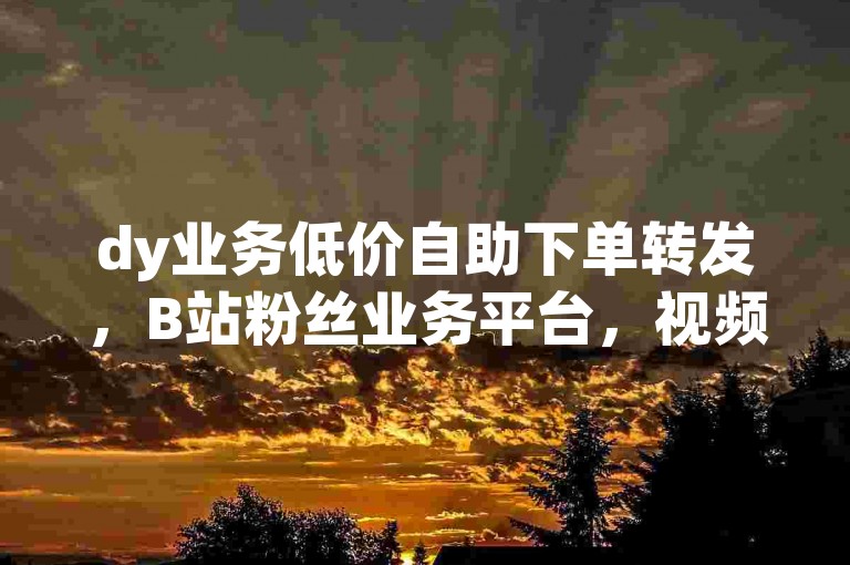 dy业务低价自助下单转发，B站粉丝业务平台，视频号自助下单商城。