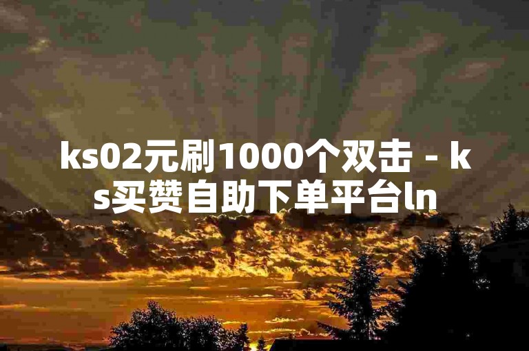 ks02元刷1000个双击 - ks买赞自助下单平台ln
