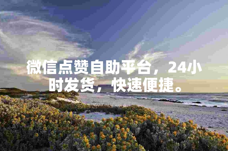 微信点赞自助平台，24小时发货，快速便捷。