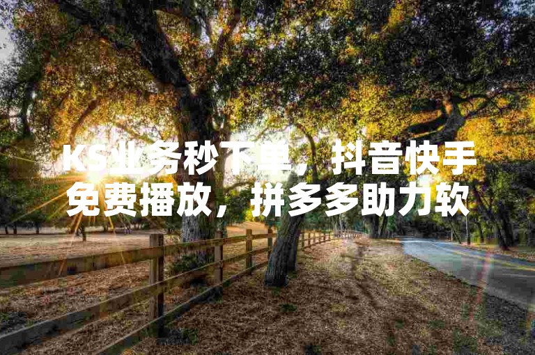 KS业务秒下单，抖音快手免费播放，拼多多助力软件。