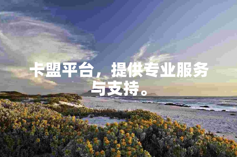 卡盟平台，提供专业服务与支持。
