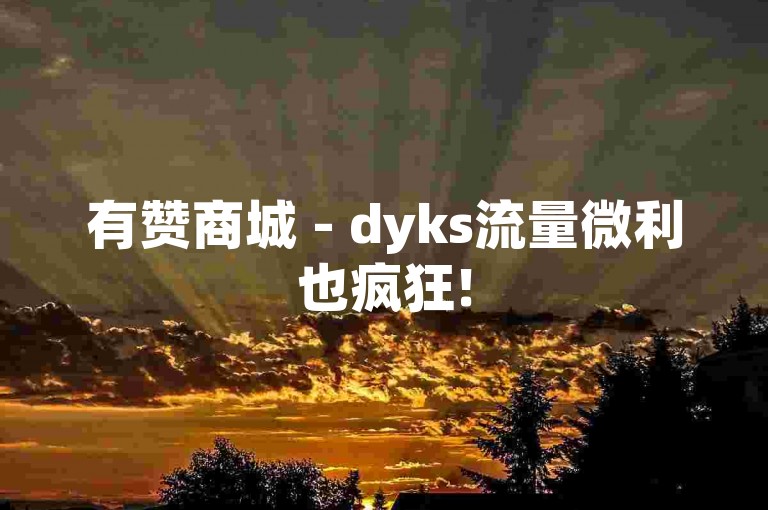 有赞商城 - dyks流量微利也疯狂!