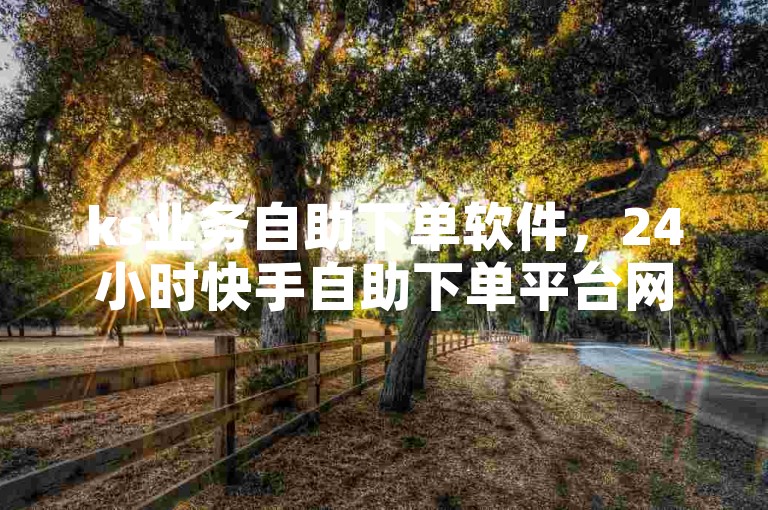 ks业务自助下单软件，24小时快手自助下单平台网站。