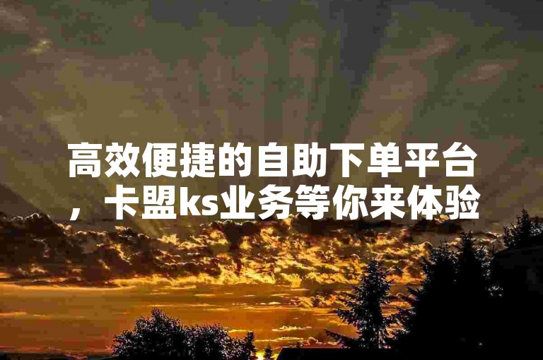 高效便捷的自助下单平台，卡盟ks业务等你来体验。