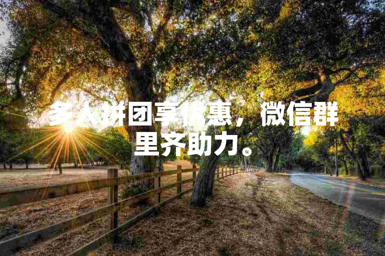 多人拼团享优惠，微信群里齐助力。