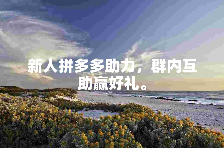新人拼多多助力，群内互助赢好礼。