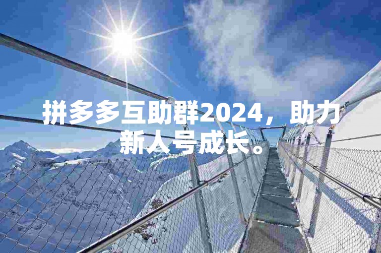 拼多多互助群2024，助力新人号成长。