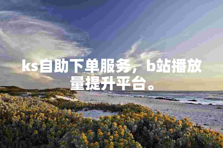 ks自助下单服务，b站播放量提升平台。