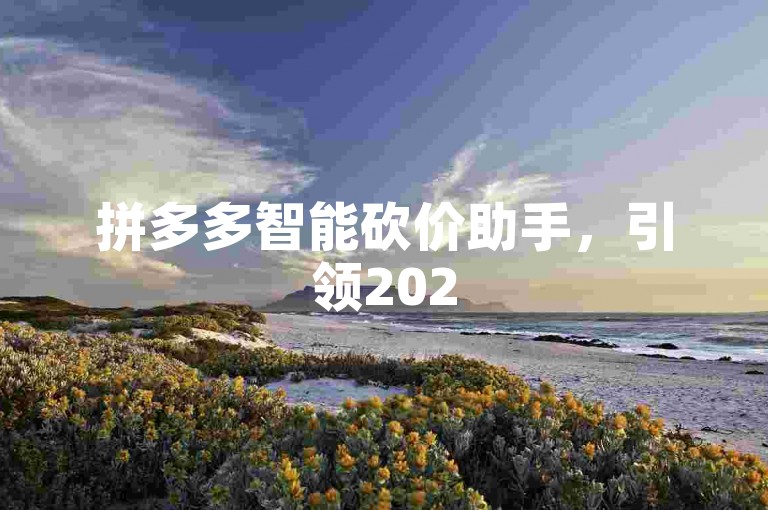 拼多多智能砍价助手，引领2025科技新潮流。