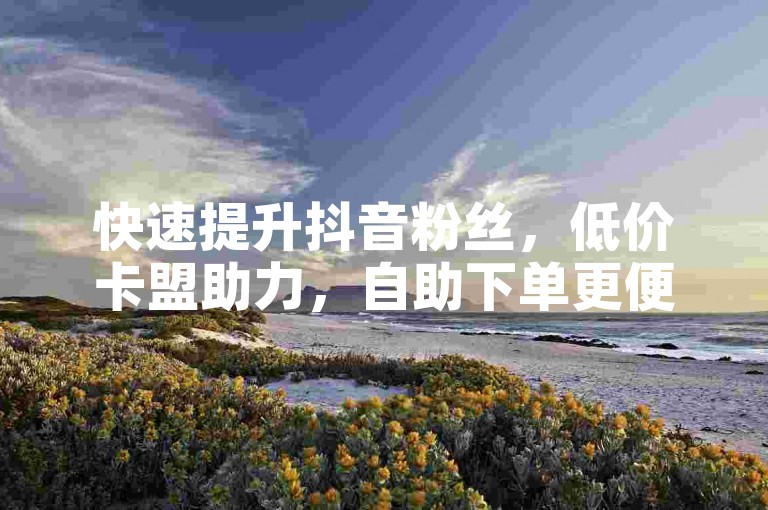 快速提升抖音粉丝，低价卡盟助力，自助下单更便捷。