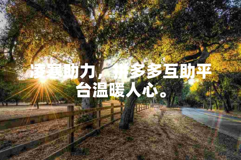 凌寒助力，拼多多互助平台温暖人心。
