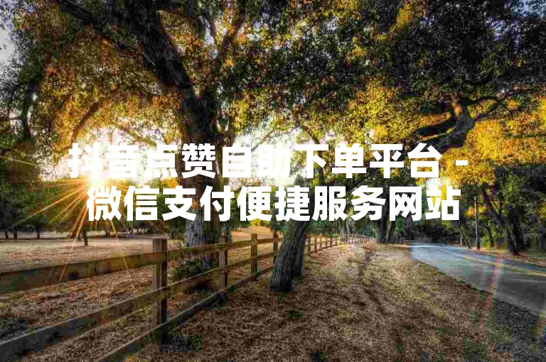 抖音点赞自助下单平台 - 微信支付便捷服务网站