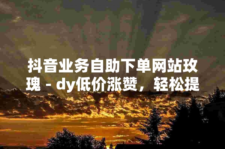 抖音业务自助下单网站玫瑰 - dy低价涨赞，轻松提升人气。