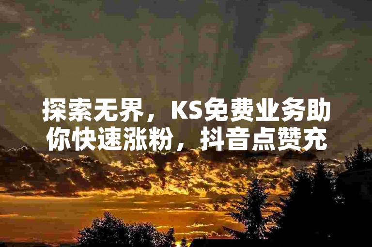 探索无界，KS免费业务助你快速涨粉，抖音点赞充值轻松搞定。