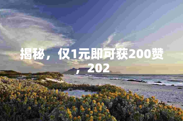 揭秘，仅1元即可获200赞，2025年必备超值技巧！