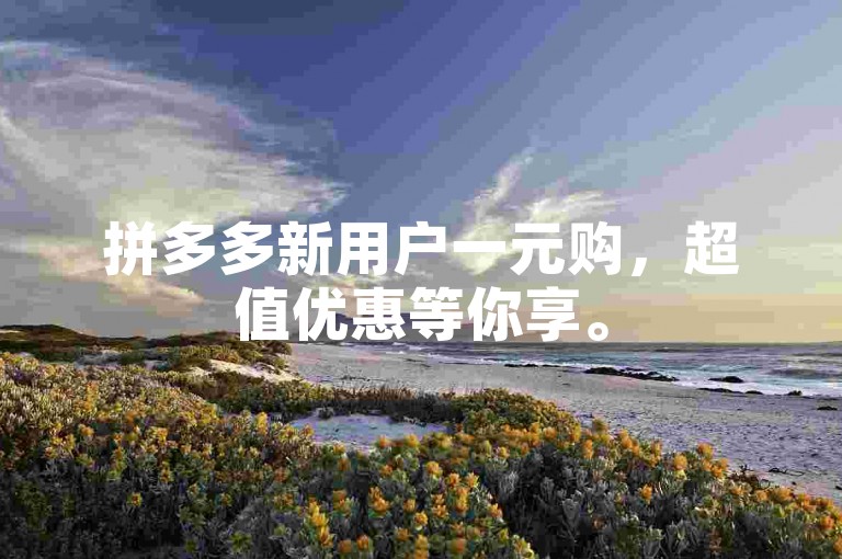 拼多多新用户一元购，超值优惠等你享。