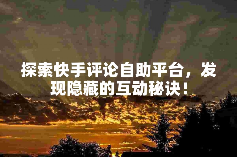 探索快手评论自助平台，发现隐藏的互动秘诀！