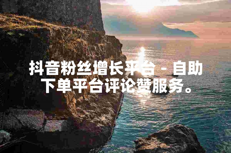 抖音粉丝增长平台 - 自助下单平台评论赞服务。