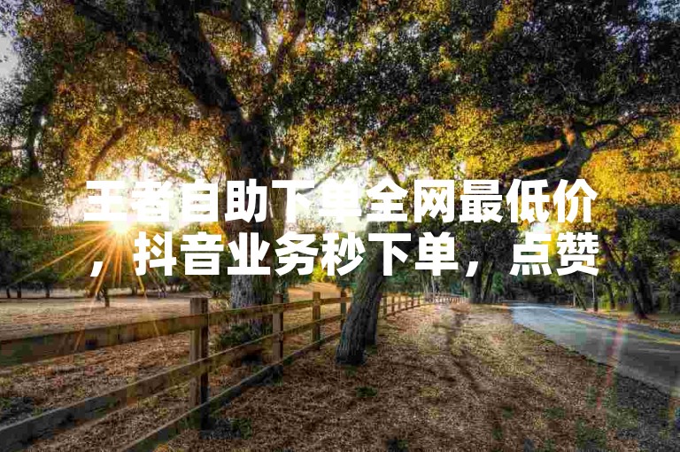 王者自助下单全网最低价，抖音业务秒下单，点赞免费24小时在线。