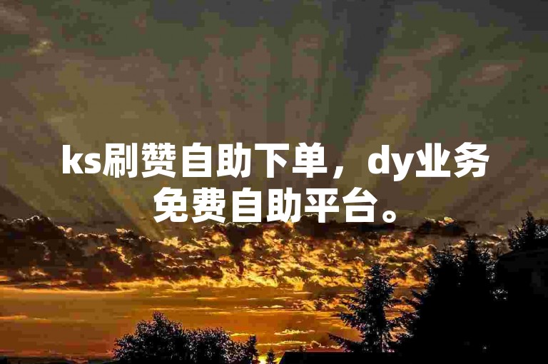 ks刷赞自助下单，dy业务免费自助平台。