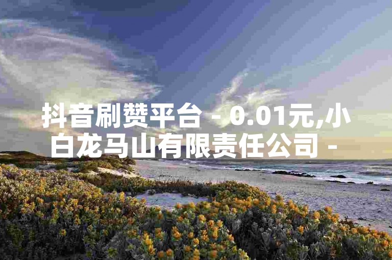 抖音刷赞平台 - 0.01元,小白龙马山有限责任公司 - 在线抖音点赞评论。